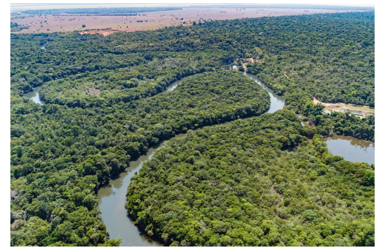 Luchtfoto van een brede, bochtige rivier, de Amazone, door dicht regenwoud.