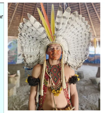 Foto van een Pataxó-man met een grote veren hoofdtooi.