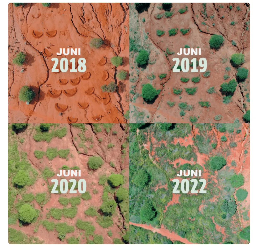 Vier luchtfoto's van hetzelfde terrein in juni 2018, 2019, 2020 en 2022. In 2018 is de rode bodem kaal met halvemaanvormige water bunds; in de latere jaren groeit er steeds meer groene vegetatie, in 2022 bijna overal.