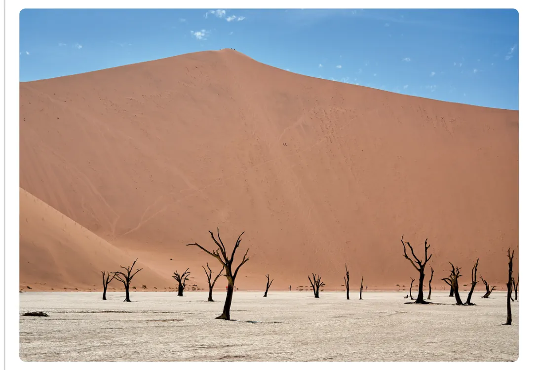 Foto van een hoog zandduin boven de Sossusvlei, met dode bomen op een witte vlakte.