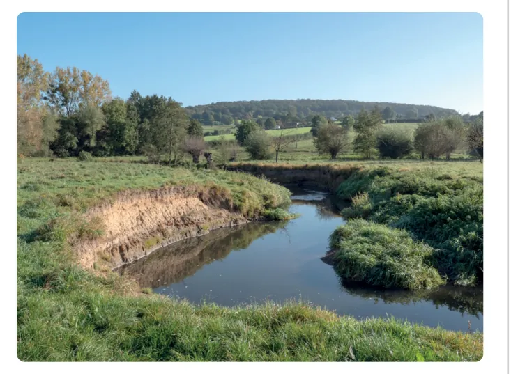 Foto van de Geul met grasland en bomen langs de oevers; links is een steile wand van losse grond te zien.
