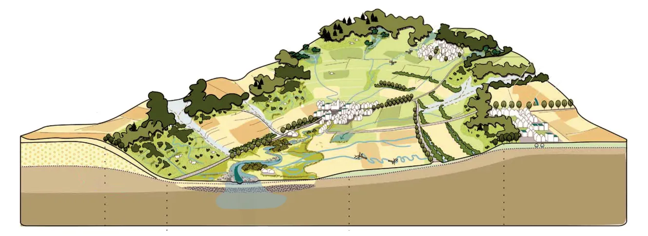 Schematische dwarsdoorsnede van het Geuldal met heuvels, akkers, bossen, bebouwing en een beek op de bodem van de vallei.