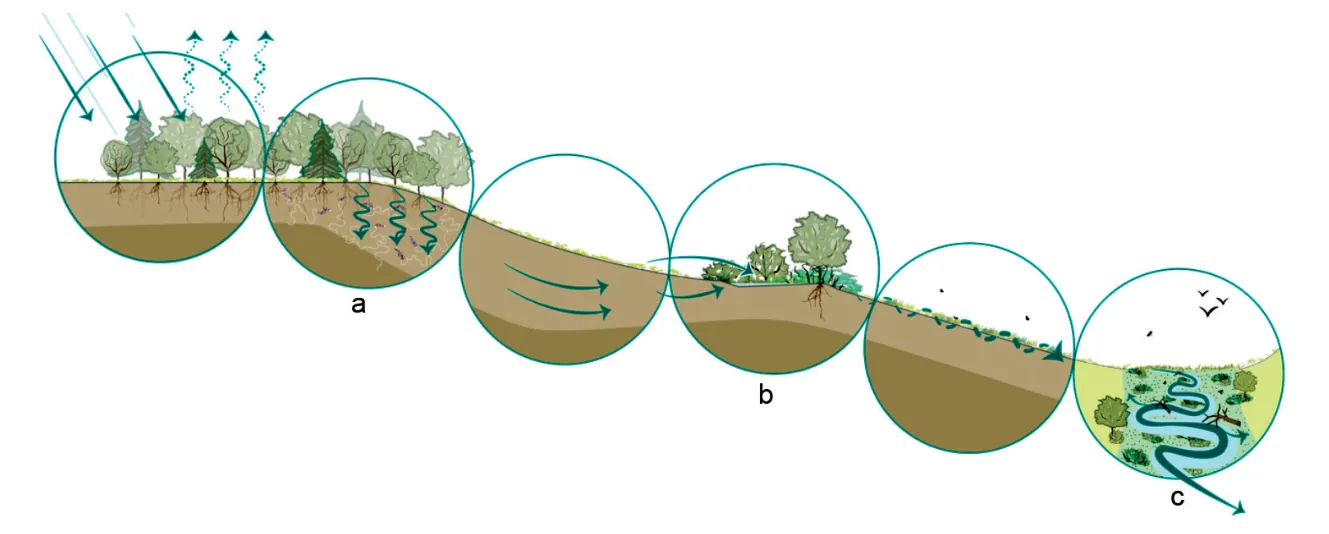 Zes schetsen van een helling waarop water wordt vertraagd; de maatregelen a, b en c zijn met een letter aangegeven.