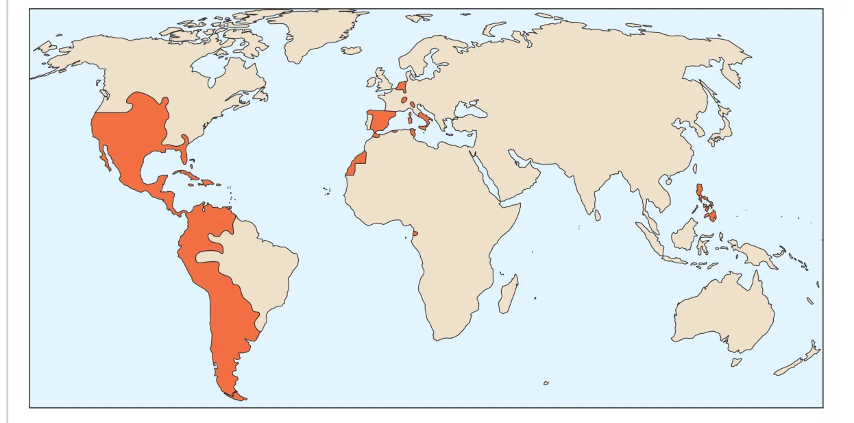 Wereldkaart met in oranje de Spaanse koloniale gebieden in de 17e eeuw, onder meer in Midden- en Zuid-Amerika, op het Iberisch schiereiland en op de Filipijnen.