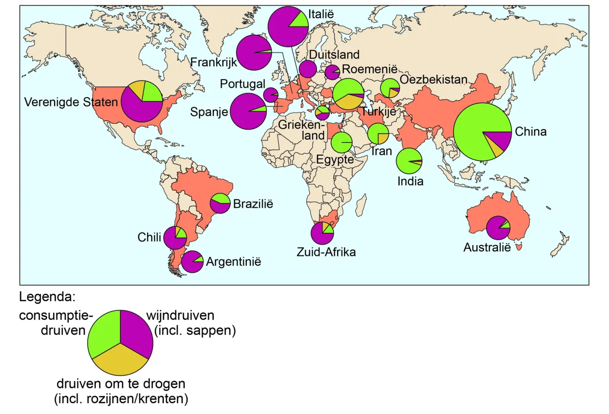 Wereldkaart met per land een cirkeldiagram van de druiventeelt: consumptiedruiven, druiven om te drogen en wijndruiven (incl. sappen). De grootste cirkels liggen bij China, Italië en Frankrijk.