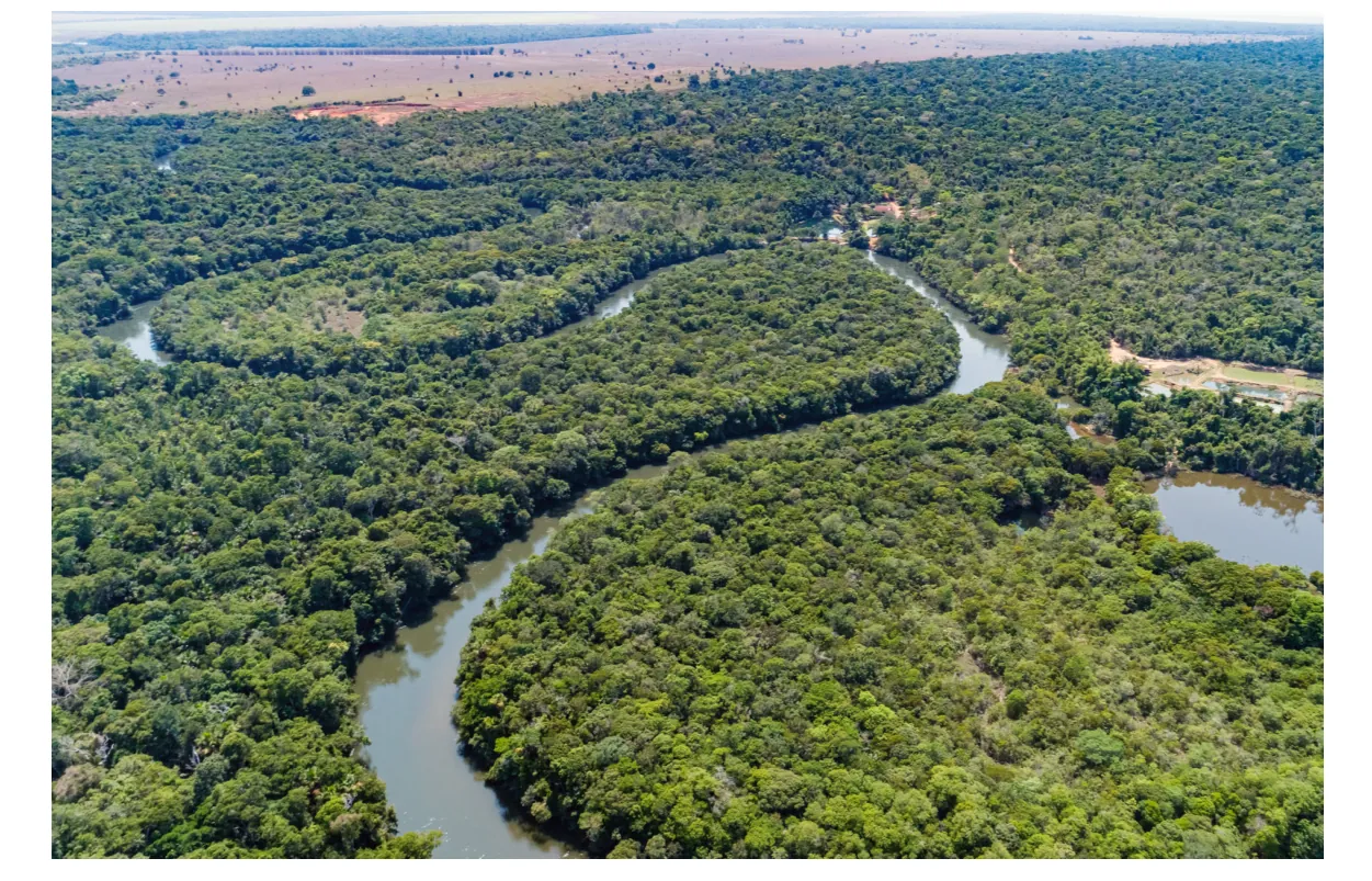 Luchtfoto van meanders in de Amazone, omgeven door dicht regenwoud.