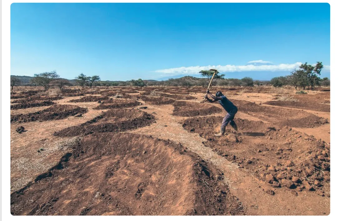 Foto van een droog, rood-bruin landschap met verspreide bomen. Een man hakt met een houweel in de harde grond; om hem heen liggen rijen gegraven halvemaanvormige kuilen met opgeworpen randen.