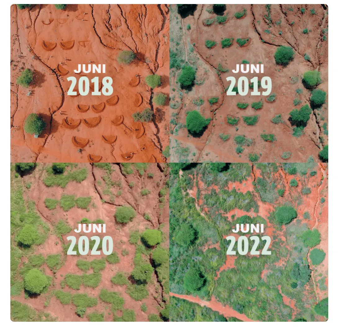 Vier luchtfoto's van hetzelfde gebied, juni 2018, juni 2019, juni 2020 en juni 2022. In 2018 zijn de halvemaanvormige water bunds in kale rode grond te zien; in de jaren daarna groeit er steeds meer groene vegetatie in en rond de water bunds, tot het gebied in 2022 grotendeels begroeid is.