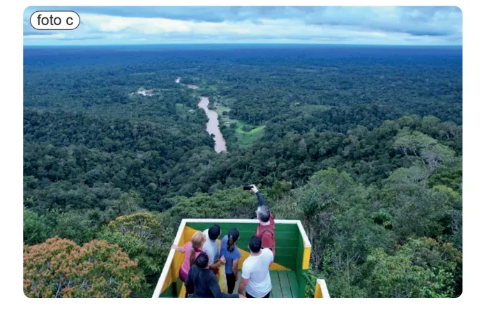 Een groep mensen op een uitkijkplatform boven een uitgestrekt, dicht tropisch regenwoud met een rivier.