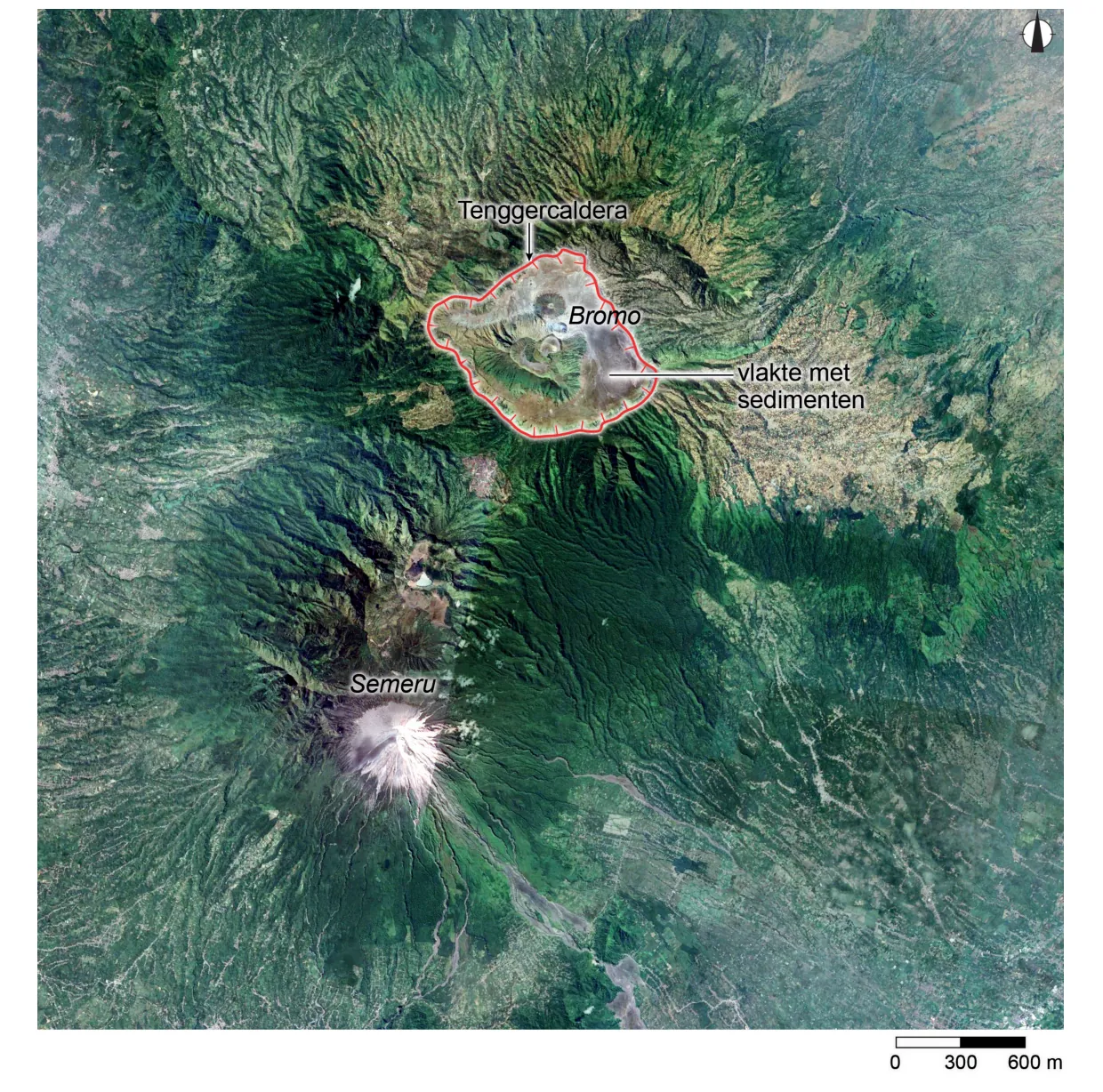 Satellietbeeld met noordpijl en schaalstok (0, 300, 600 m). In het noordoosten is de Tenggercaldera rood omlijnd met daarin de Bromo en een vlakte met sedimenten; in het zuidwesten ligt de Semeru met een witte, kale top. De hellingen zijn grotendeels groen begroeid.