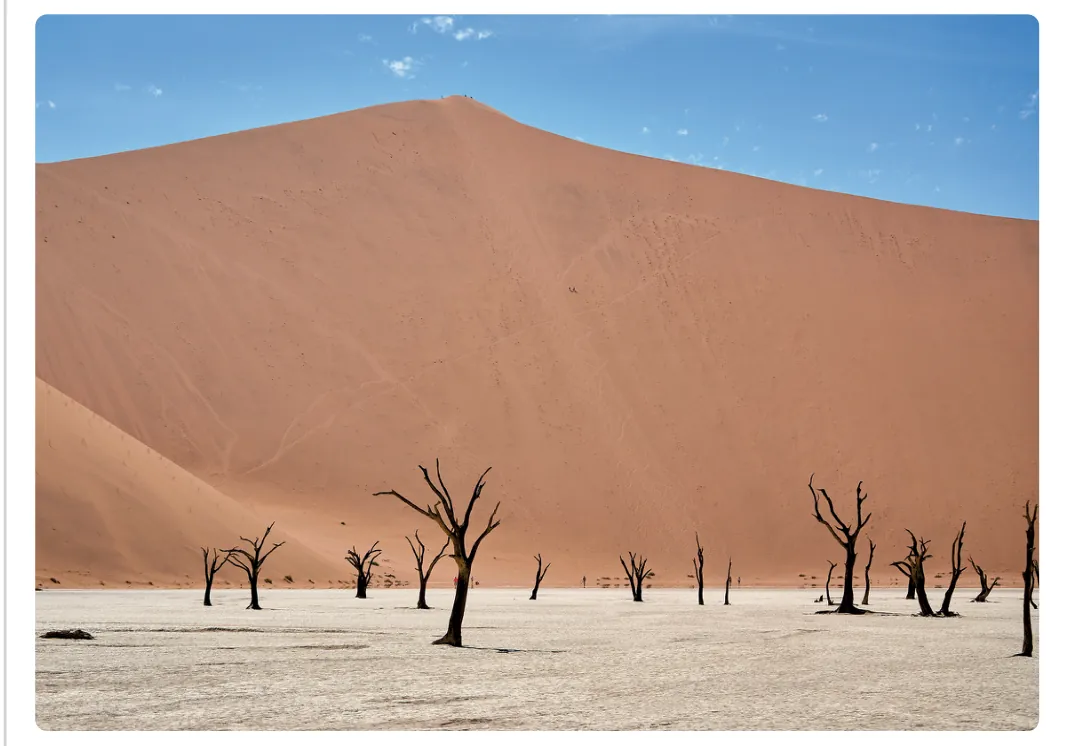 Foto van een vlakke, witte, uitgedroogde bodem met zwarte dode bomen voor een hoge oranje zandduin.