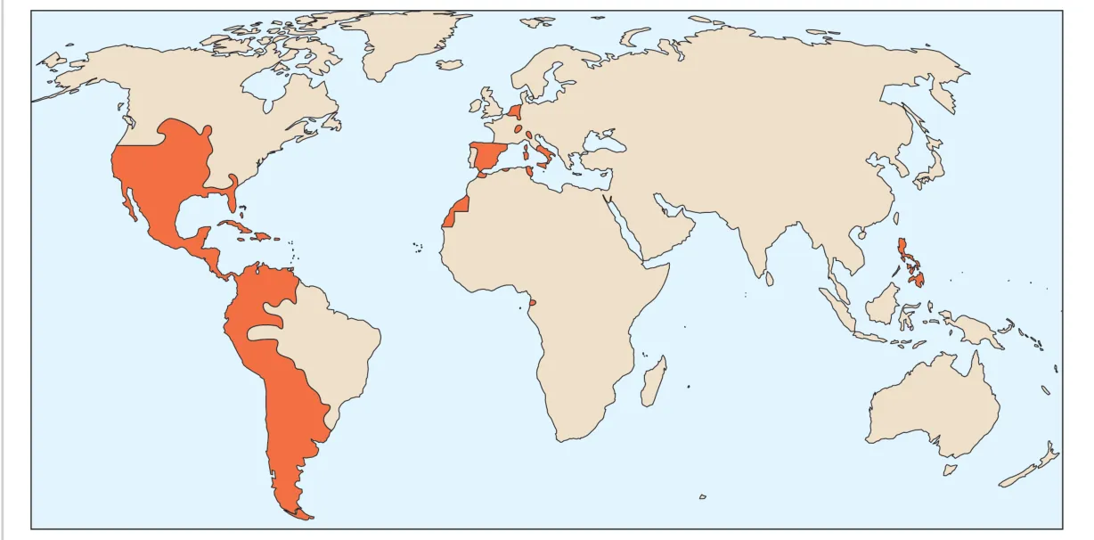 Wereldkaart waarop de Spaanse koloniale gebieden in de 17e eeuw oranje zijn gekleurd: het Iberisch schiereiland, delen van Italië en de Lage Landen, een kuststrook in Noordwest-Afrika, Mexico en Midden-Amerika, Caribische eilanden, het westen en zuiden van Zuid-Amerika en de Filipijnen.