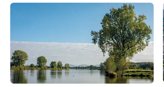 Rivier met een brede stroom en een grote boom op de oever, onder een blauwe lucht.