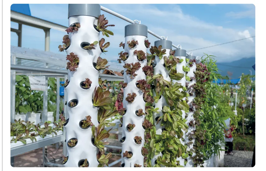Witte torens met gaten waaruit planten groeien, op een boerderij met kassen op Ibiza.