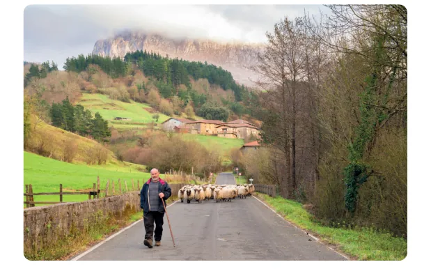 Weg met een herder en schapen in een groen heuvellandschap met bossen en een dorp.