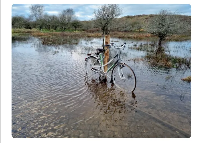 Foto van een overstroomd duingebied, met een fiets vastgemaakt aan een paal in het water.