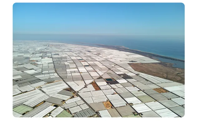 Luchtfoto van een groot gebied met witte plastic kassen aan de kust.