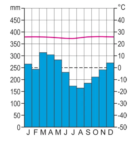 Klimaatdiagram met neerslag in mm (staven) en temperatuur in °C (lijn): het hele jaar veel neerslag, tussen ongeveer 160 en 310 mm per maand, en een vrijwel constante temperatuur van ongeveer 26 °C.