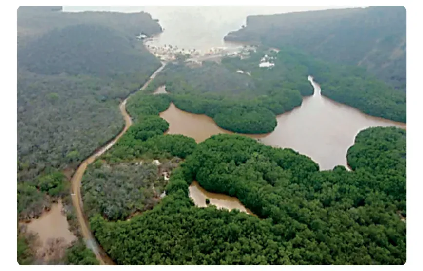 Luchtfoto van de lagune achter het strand bij Santa Cruz, met bruin water tussen groene mangrovebossen.
