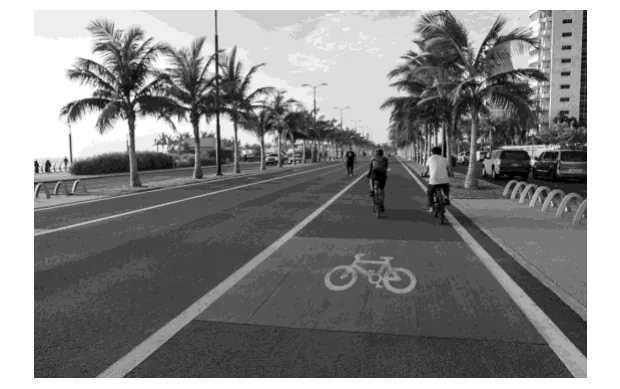 Foto van fietsers op een breed fietspad met palmbomen langs de kant.