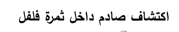 Arabische tekst uit het examen.