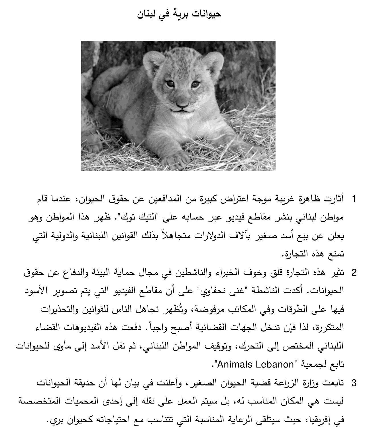 Arabische tekst in drie alinea's over de handel in wilde dieren in Libanon, met een foto van een leeuwenwelp in het stro.