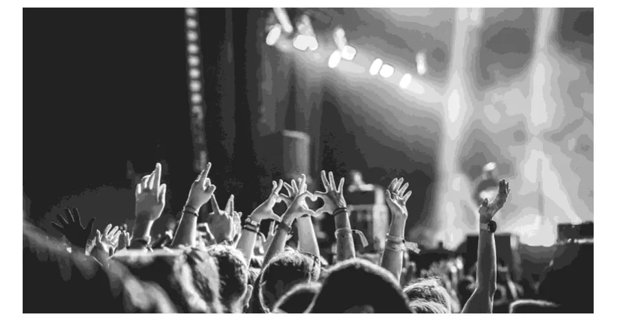 Foto van publiek met handen in de lucht bij een concert.