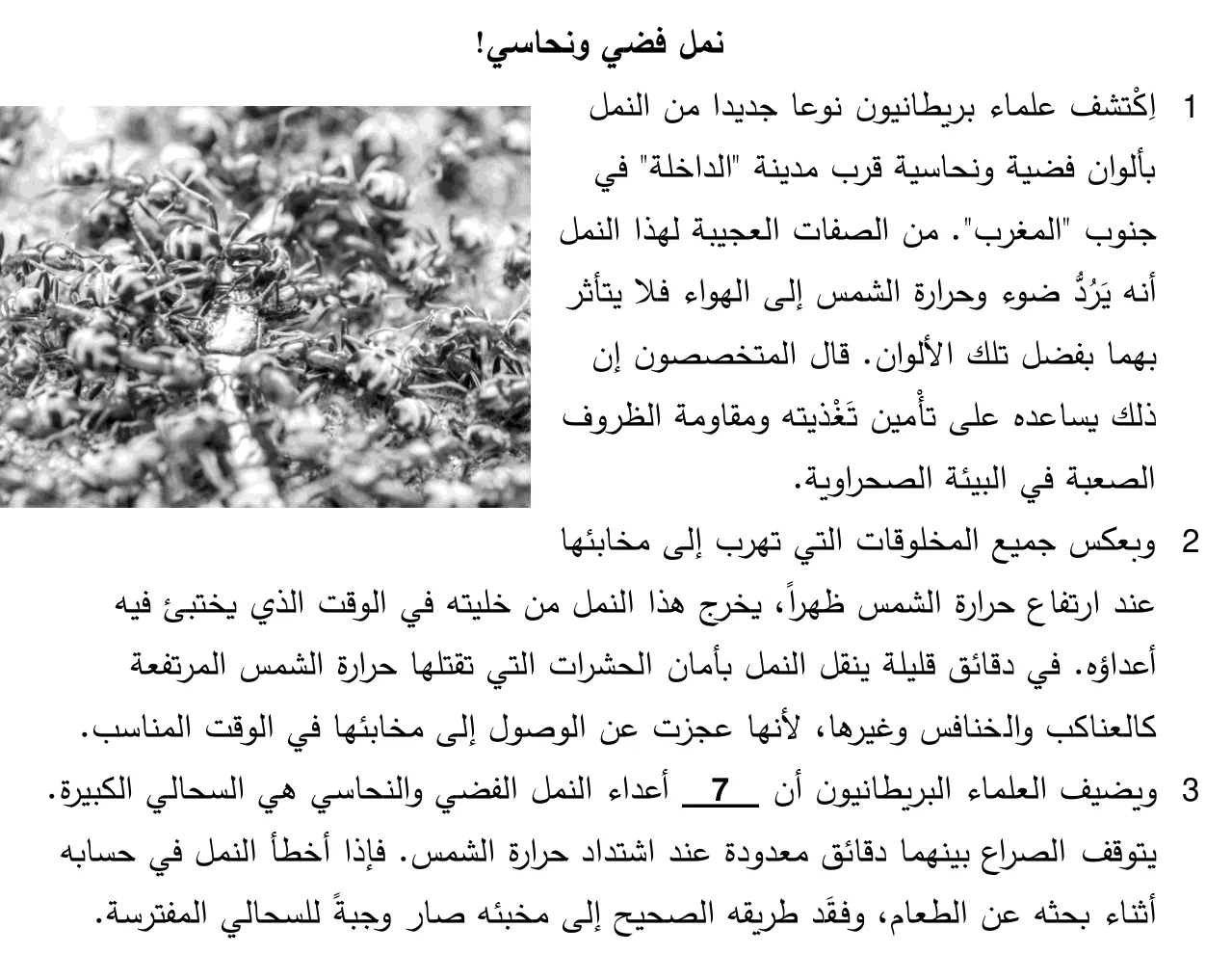 Arabische tekst uit het examen.