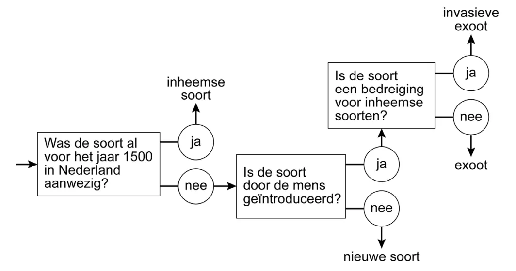Afbeelding bij Exoten (opgaven-p4-1.webp).
