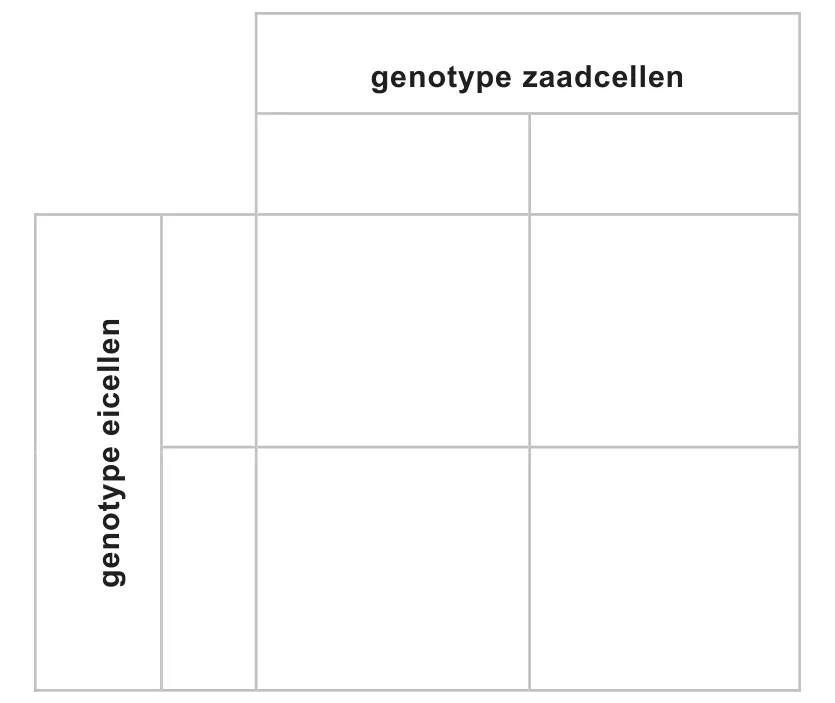 uitwerkbijlage