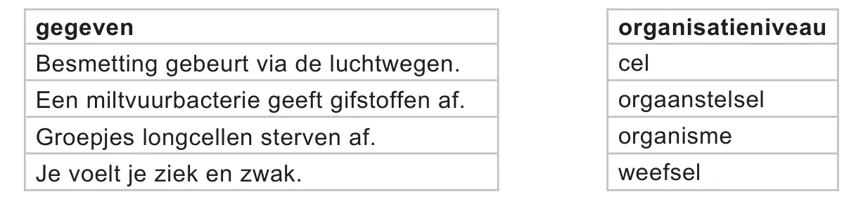uitwerkbijlage