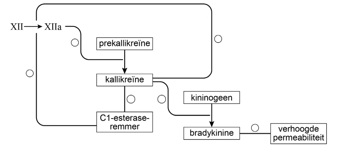 Afbeelding bij vraag 27 (opgaven-p15-1.webp).