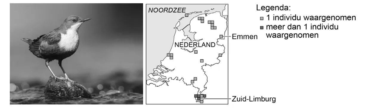 afbeelding 1 afbeelding 2
