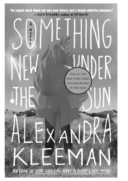 Boekomslag van Something New Under The Sun van Alexandra Kleeman, in grijstinten.