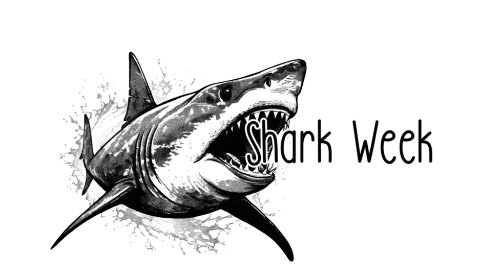 Logo van Shark Week met een haai.