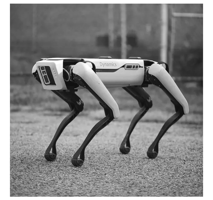Foto van een vierpotige robot.