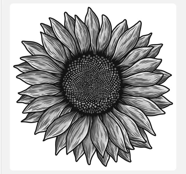 Getekende zonnebloem op een witte achtergrond.