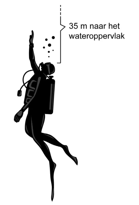 Silhouet van een duiker die recht omhoog kijkt. Een accolade geeft aan dat het wateroppervlak 35 m boven hem ligt.