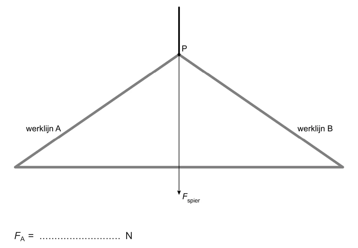 Dezelfde figuur met punt P, werklijn A, werklijn B en de pijl F_spier, met daaronder de invulregel F_A = ... N.