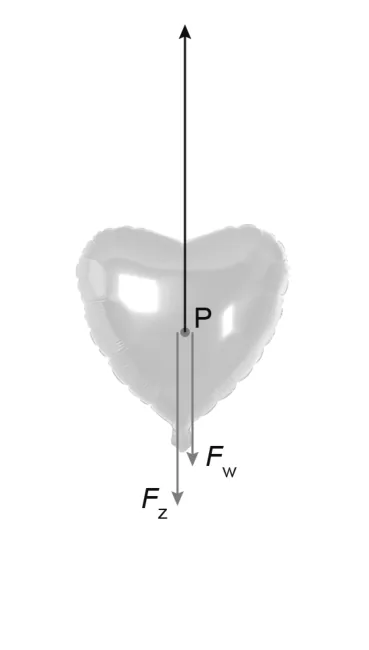 Antwoordfiguur bij vraag 12 (cv-p8-2-12.webp).