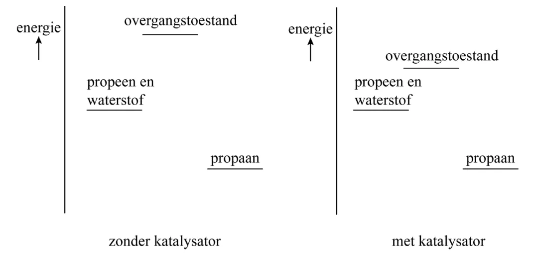 Antwoordfiguur bij vraag 5 (cv-p8-6-5.webp).