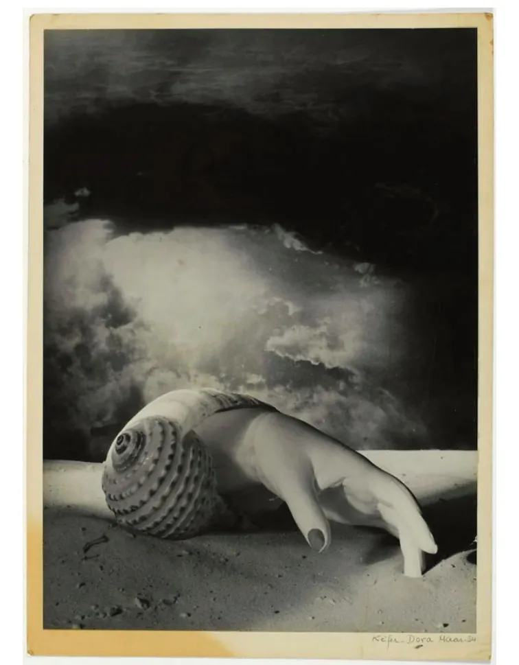 Zwart-witfoto van een schelp op een zandstrand, waaruit een hand omhoog steekt; boven het strand een donkere, wolkige lucht.