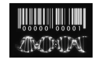 Genetische barcode: een streepjescode boven een afbeelding van een DNA-streng.
