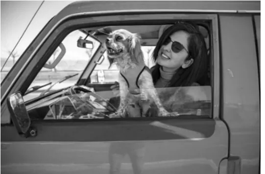 Zwart-witfoto van een vrouw met zonnebril en een hond in een oud busje.